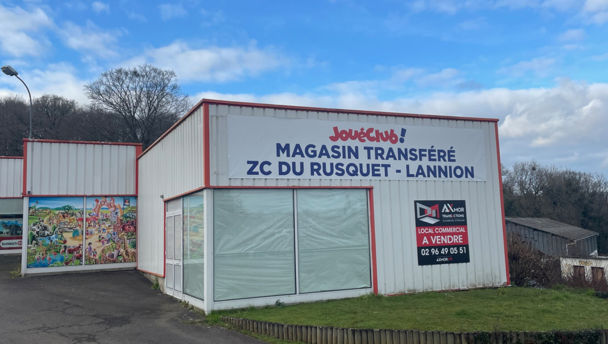 A VENDRE LOCAL D'ACTIVITE 600 m2 Murs Commerciaux Vente